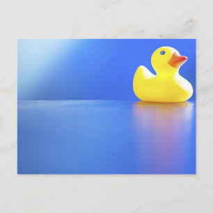 Duck on Blue Briefkaart