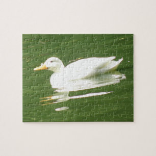 Duck on the Water Puzzle Legpuzzel