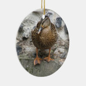 Duck op een Wall Ornament (Rechts)