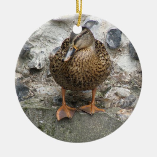 Duck op een Wall Ornament (Voorkant)