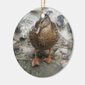 Duck op een Wall Ornament (Links)