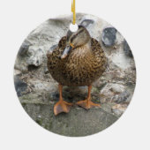 Duck op een Wall Ornament (Achterkant)