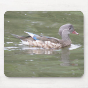 Duck op het meer van Mousepad Muismat