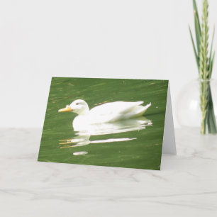 Duck op het Wenskaart water Kaart