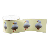 Duck Photo Grosgrain Lint (Spoel)