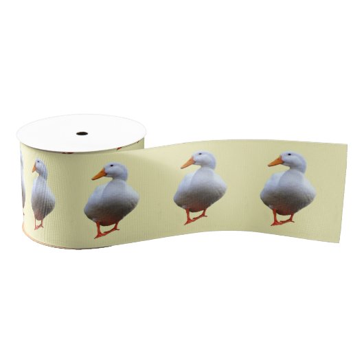 Duck Photo Grosgrain Lint (Spoel)