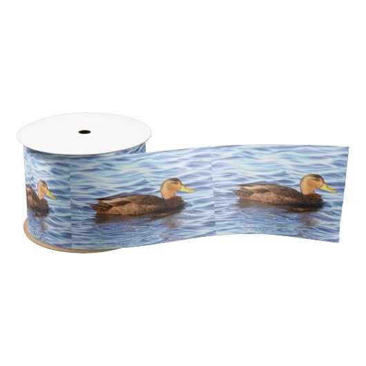 Duck Photo Lint (Spoel)