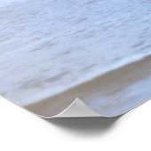 Duck Photo Poster (Coin)