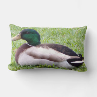 Duck Pillow Kussen