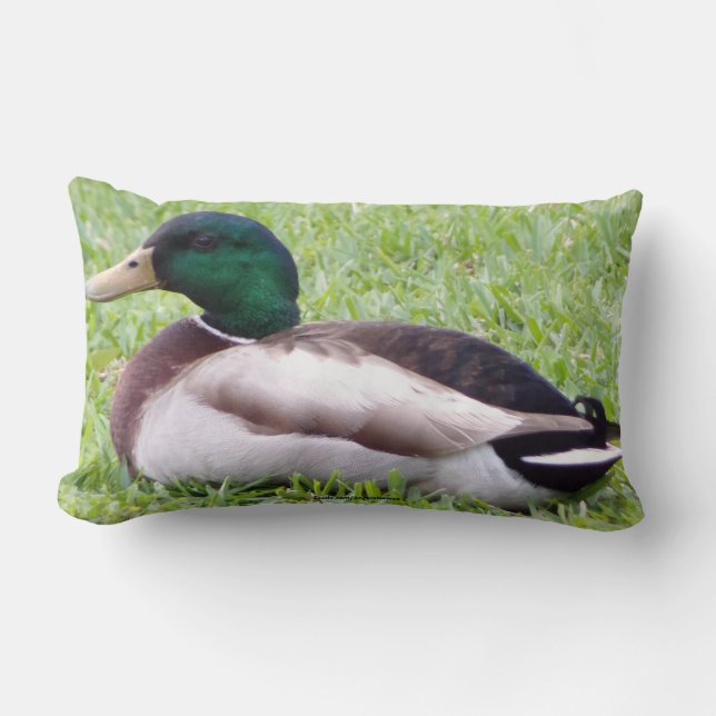 Duck Pillow Kussen (Voorkant)