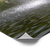 Duck pond in lente poster (Hoek)