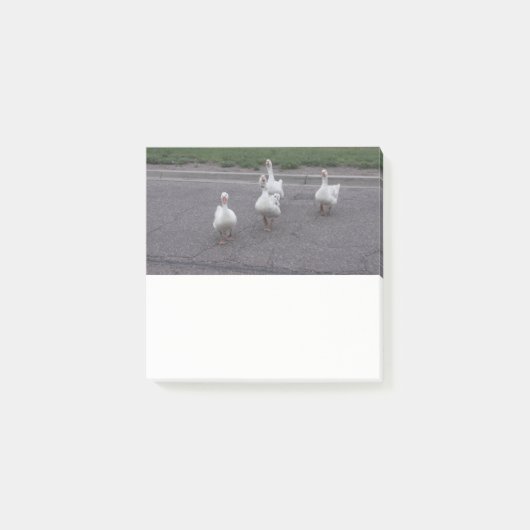 Duck Post-notities Post-it® Notes (Voorkant)