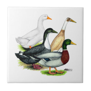Duck Quartet Tegeltje