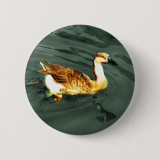 Duck Ronde Button 5,7 Cm (Voorkant)