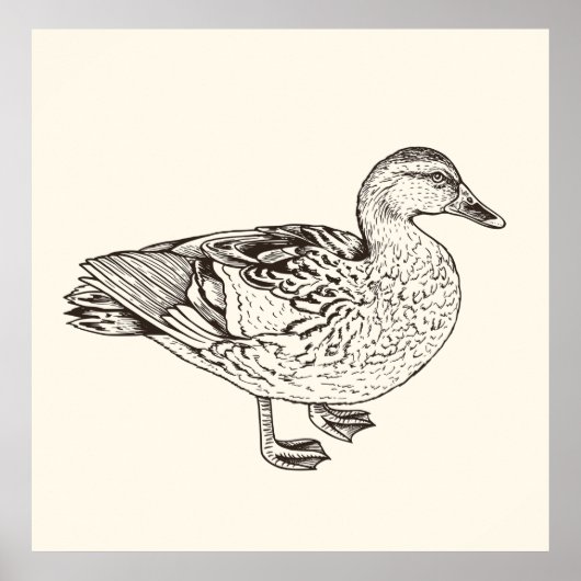 Duck Sketch Poster (Voorkant)