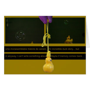 Duck Story ou une invragelijkable histoire