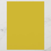 Duck, Swimming Pool Cleaning Flyer (Achterkant)