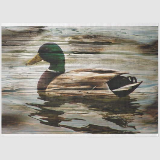 Duck Tissuepapier (Voorkant)