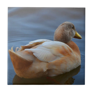 Duck Trivet Tegeltje