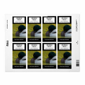 Duck Wijn Label - Mallard Foto (Full Sheet)