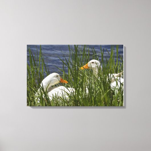 Duck Wrapped Canvas Afdruk (Voorkant)