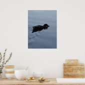 Duck zwemmen in Lake Poster (Keuken)