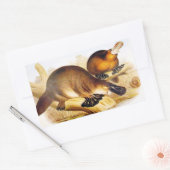 "Duckbilling Platypus" Rechthoekige Sticker (Envelop)