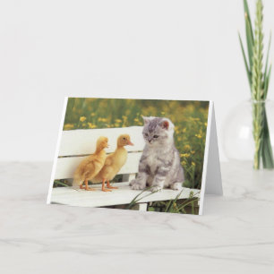 Duckheap en vriend interviewkitten. kaart