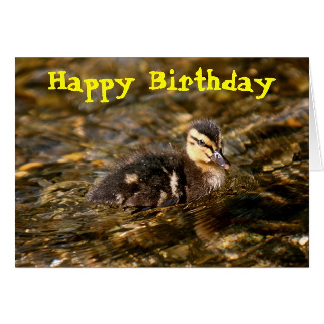 Ducking (Voorkant Horizontaal)