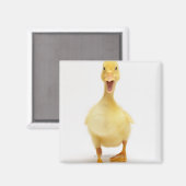 Ducking Magneet (Voorkant / Achterkant)
