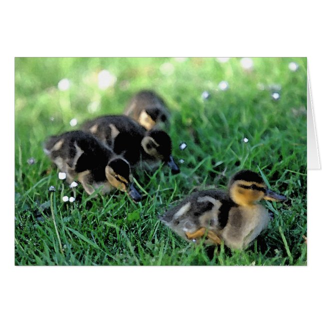 Ducking Parade (Voorkant Horizontaal)