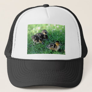 Ducking Parade Trucker Pet