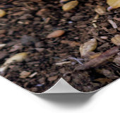 Ducking Poster (Hoek)