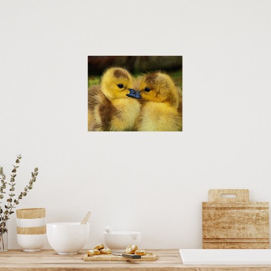 Ducking Poster (Keuken)