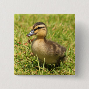 Ducking Vierkante Button 5,1 Cm