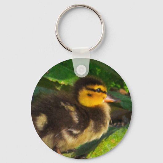 Duckling Photo Sleutelhanger (Voorkant)
