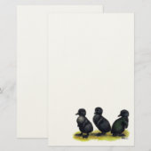 Ducklings Black Cayuga Briefpapier (Voorkant / Achterkant)
