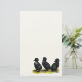 Ducklings Black Cayuga Briefpapier (Staand voorkant)