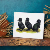 Ducklings Black Cayuga Fotoplaat (Zijkant)