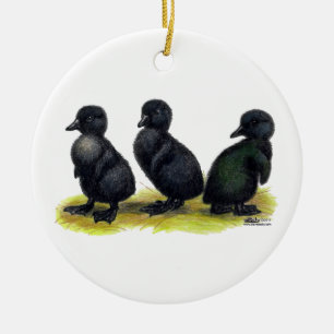 Ducklings Black Cayuga Keramisch Ornament