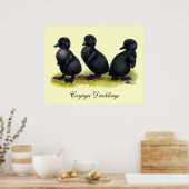 Ducklings Black Cayuga Poster (Keuken)