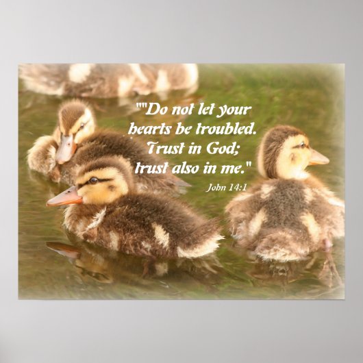 Ducklings Christelijk Poster (Voorkant)