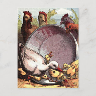 Ducklings en kippen briefkaart