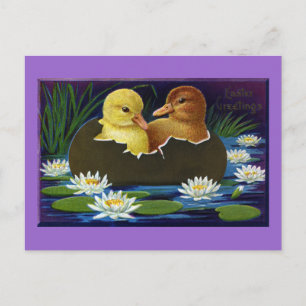 Ducklings in Eggshell Boat met waterlelies Briefkaart
