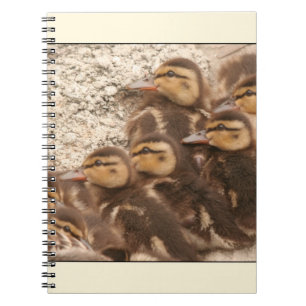 Ducklings-laptop Notitieboek