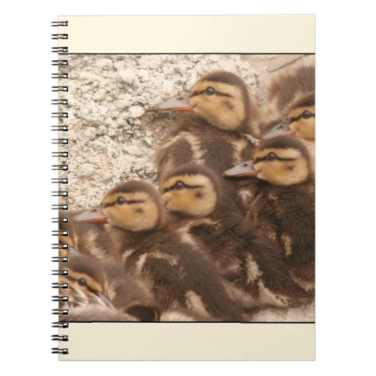 Ducklings-laptop Notitieboek (Voorkant)