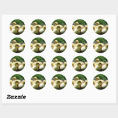 Ducklings Ronde Sticker (Vel)