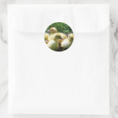 Ducklings Ronde Sticker (Tas)