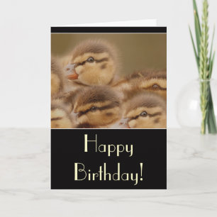 Ducklings Verjaardag Kaart