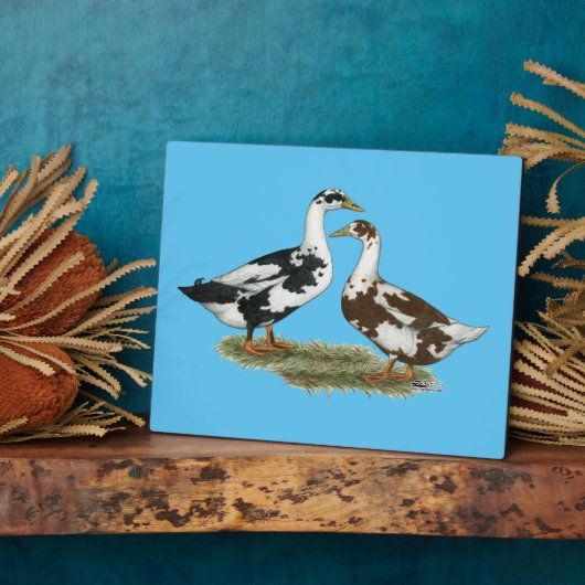 Ducks Ancona Pair Fotoplaat (Zijkant)